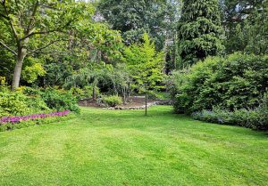 Optimiser l'expérience du jardin à Gruchet-le-Valasse